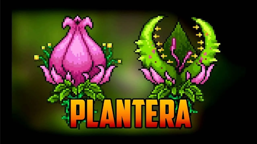 acquisto Plantera chiave di gioco a buon mercato