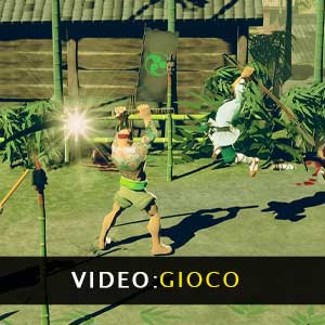9 Monkeys of Shaolin Video di Gioco
