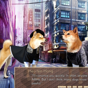 A Summer with the Shiba Inu Hei-fen-Hong