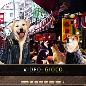 A Summer with the Shiba Inu Video del Gioco