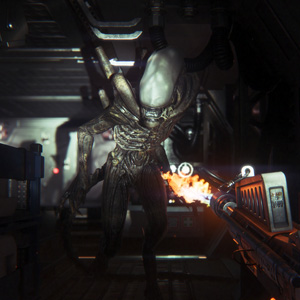 Alien Isolation Carattere