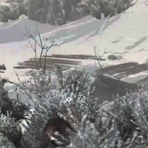 Assassin’s Creed 3 The Tyranny of King Washington