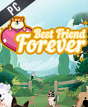 Best Friend Forever Pc