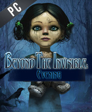 Beyond The Invisible Evening Pc