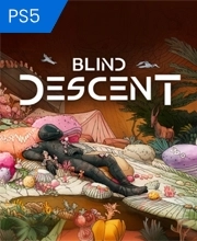 Blind Descent Playstation 5