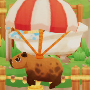 Capybara Spa - Paracadute