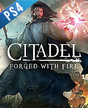 Citadel Forged with Fire