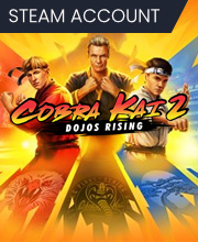 Cobra Kai 2 Dojos Rising Pc