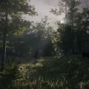 Dead Man’s Diary - Foresta