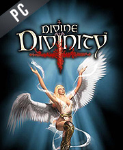 Divine Divinity Pc