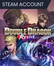 Double Dragon Revive Pc