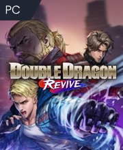 Double Dragon Revive Pc