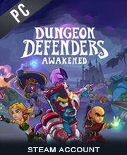 Dungeon Defenders Awakened Pc