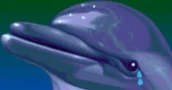 Ecco the Dolphin Complete Annunciato Con Remaster e un Nuovo Gioco