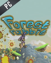 Forest Rabbit Pc