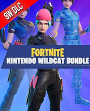 Fortnite Wildcat Bundle Switch