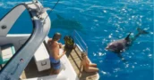 GTA 6 Potrebbe Arrivare su PC Solo Quattro Mesi Dopo le Console