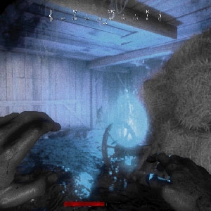 Hunt Showdown Co-op