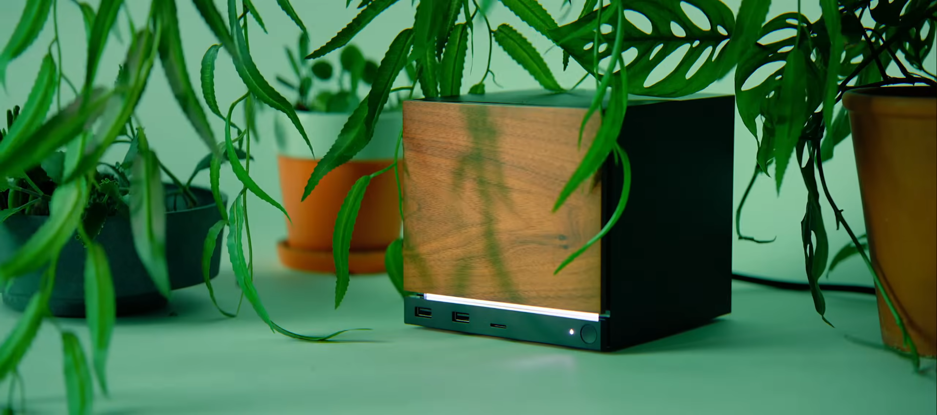 Steam Machine tra le foglie