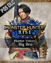 Monster Hunter Rise Hunter Voice Big Bro