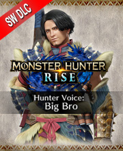 Monster Hunter Rise Hunter Voice Big Bro Switch