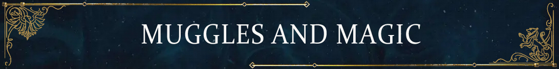 Babbani e Magia: I Giocatori Parlano dell'Universo di Harry Potter