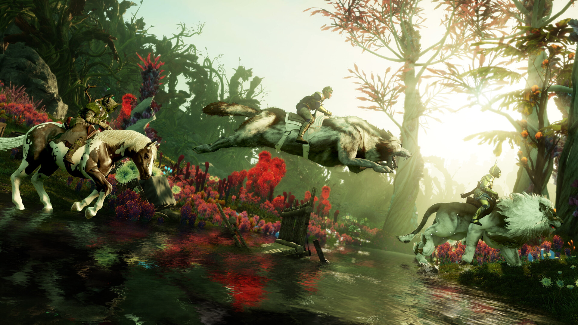 New World cavalcatura e pet