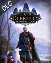 Pillars of Eternity The White March Part 1 Pc