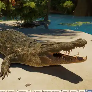 Planet Zoo 2 - Coccodrillo d'acqua salata