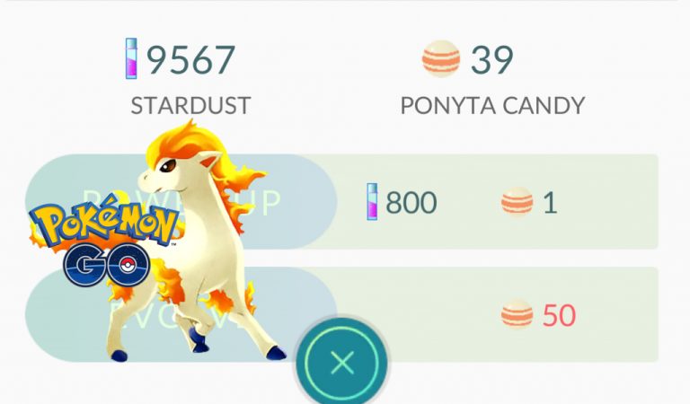 ponyta candy
