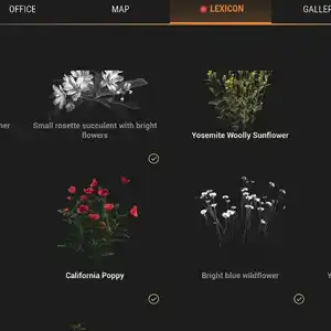 Ranger’s Path National Park Simulator - Lessico