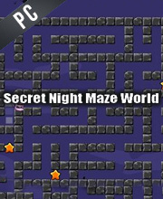 Secret Night Maze World Pc