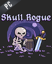 Skull Rogue Pc
