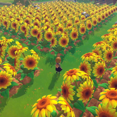 Song Of The Prairie - Campo di girasoli