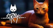 Stray: Promozione Speciale Abbassa il Prezzo per Risparmi Enormi
