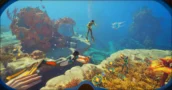 L'Accesso Anticipato di Subnautica 2 Costa Meno sui Mercati di Chiavi