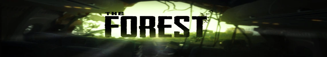 UN GIOCO HORROR COOPERATIVO TERRIFICANTE E MISTERIOSO: THE FOREST UN GIOCO HORROR COOPERATIVO TERRIFICANTE E MISTERIOSO: THE FOREST