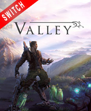 Valley Switch