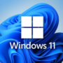 Windows 11 Pro diventa il miglior sistema operativo per i giocatori da PC