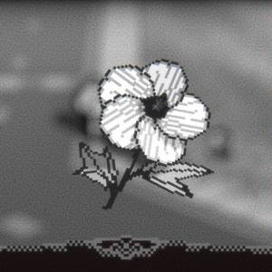 A Walk With Yiayia - Un bel fiorellino