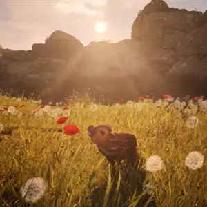 Adorable Adventures – Papavero