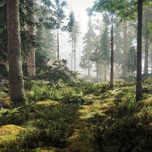 Among the Trolls - Foresta