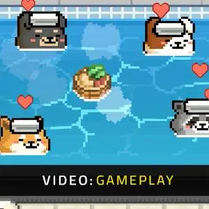 Animal Spa - Video di Gameplay