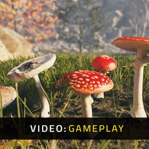 AppGameKit Studio Video di Gioco