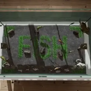 Aquarium in Cafe – Acquario