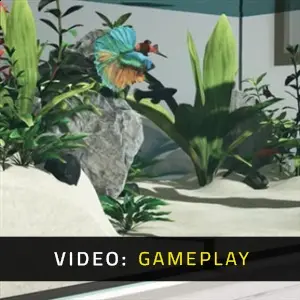 Aquarium in Cafe – Gameplay