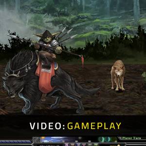 Archmage Rises Video di Gioco