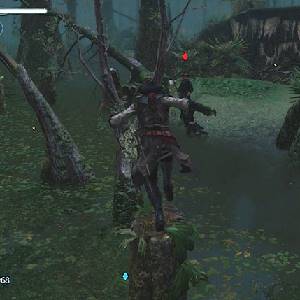 Assassin's Creed Liberation HD - Proteggere la Zattera