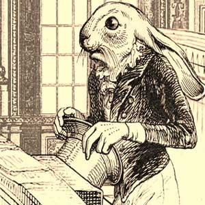 Aviary Attorney Barron il coniglio