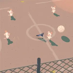Bad Magpie - Campo sportivo